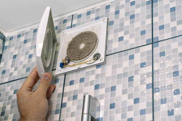 Best Residential Air Duct Cleaning  in Zionsville, IN