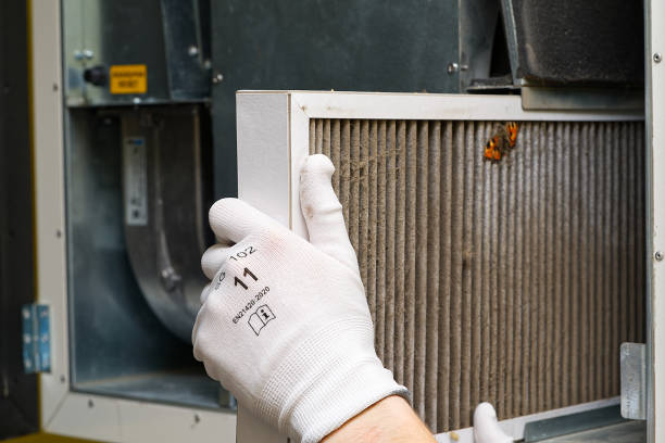 Best Air Vent Cleaning Services  in Zionsville, IN