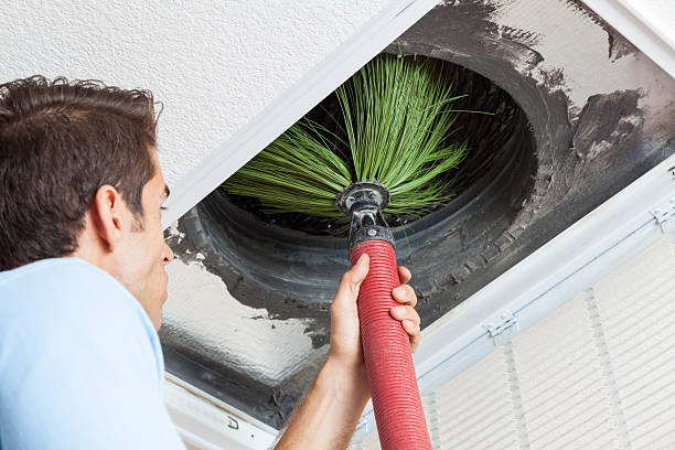 Best Local Air Duct Cleaning Services  in Zionsville, IN