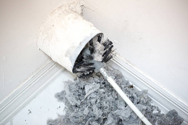 Best HVAC Duct Inspection Services  in Zionsville, IN