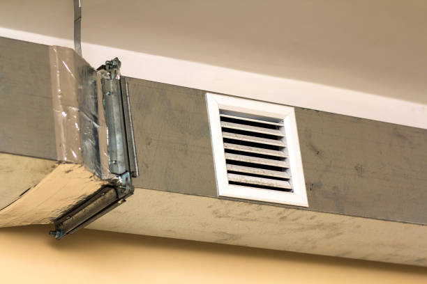 Best Ductwork Cleaning Services  in Zionsville, IN